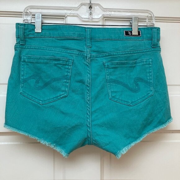 STS  Blue Teal denim shorts with raw edge size 5 - Picture 2 of 8